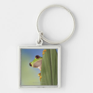 Llavero Rana observada rojo de Tre que mira a escondidas