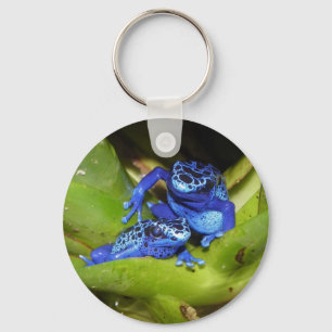 Llavero Ranas Dart De Veneno Azul En Hoja 1