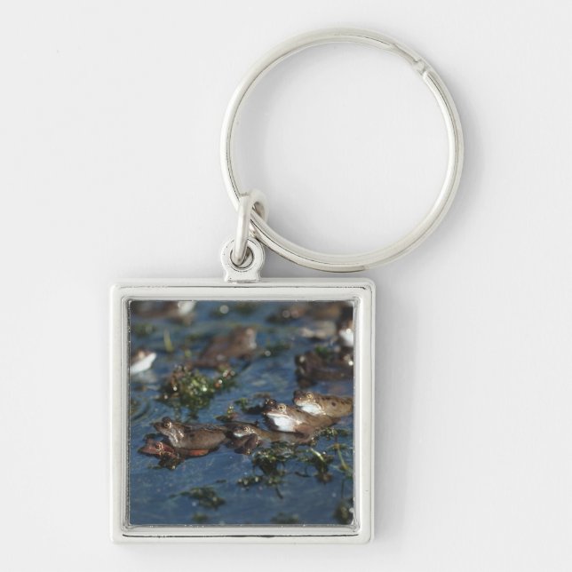 Llavero Ranas divertidas (Frente)