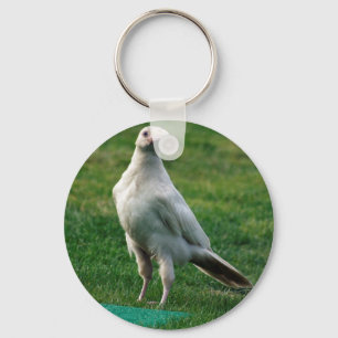 Llavero Raros Regalos de Raven Blanco