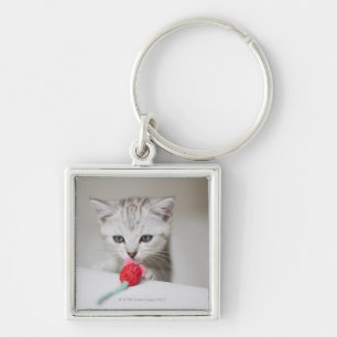 Llavero Ratón del juguete del gatito británico del