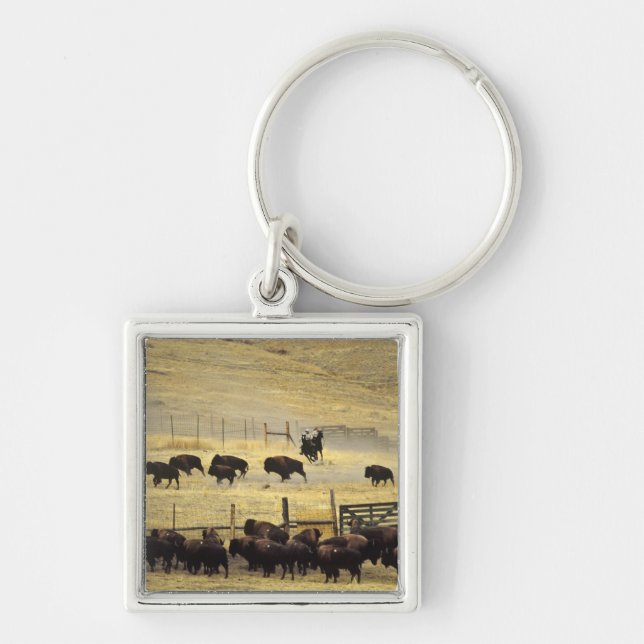 Llavero Recolección en el National Bison Range en Montana (Frente)