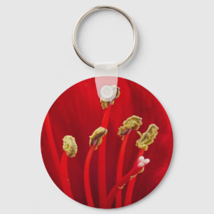 Llavero Red Amaryllis Keychain