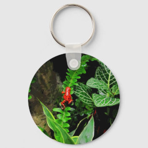 Llavero Red Dart Frog CB