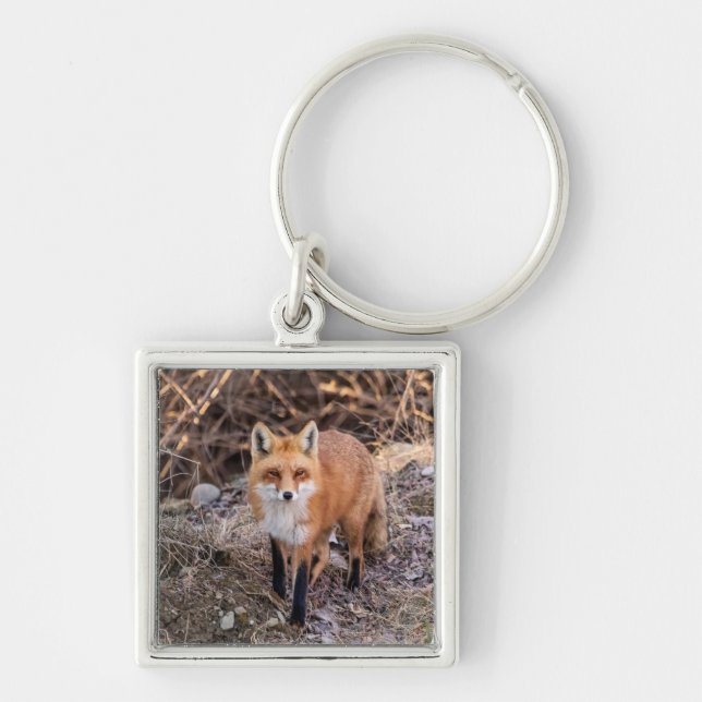 Llavero Red Fox cerca y personal (Frente)