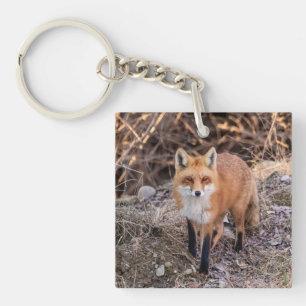 Llavero Red Fox cerca y personal