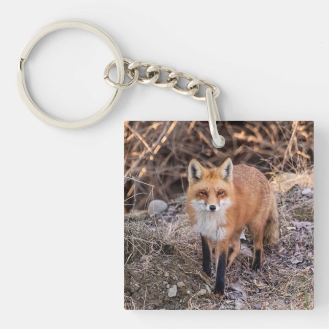 Llavero Red Fox cerca y personal (Frente)