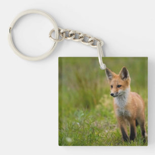 Llavero Red Fox Kit En Grassy Meadow