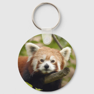Llavero red-panda-004