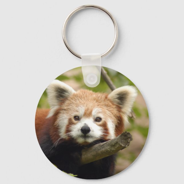 Llavero red-panda-007 (Anverso)