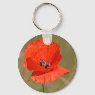 Llavero Red Poppy in the Field