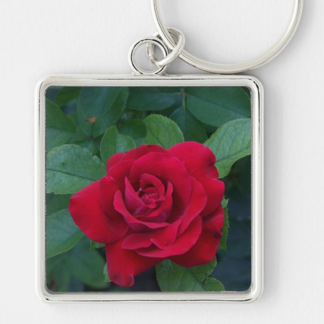 Llavero Red Rose Close (Frente)