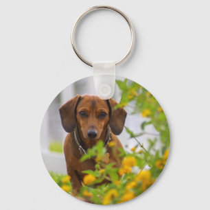 Llavero redondo del botón del mini Dachshund rojo