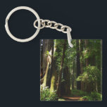 Llavero Redwoods and Ferns at Redwood National Park<br><div class="desc">The trails at Redwood National Park are typically quite peaceful and serene like the one in this picture. When you walk in Redwood National Park, you are of course surrounded by redwood trees, but also contrasting patches of bright green ferns. This product features the popular wallpaper "Redwoods and Ferns" from...</div>