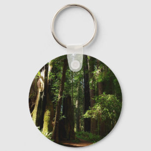 Llavero Redwoods y helechos en el Parque Nacional Redwood