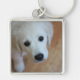 Llavero Regalo para los amantes de los animales