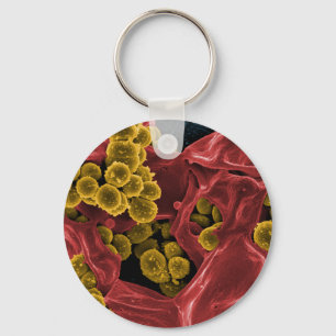 Llavero regalos de la microbiología de la biología para