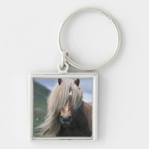 Llavero Reino Unido, Escocia, Islas Shetland, pony de Shet