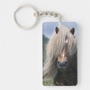 Llavero Reino Unido, Escocia, Islas Shetland, pony de Shet