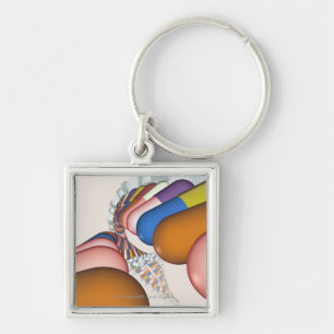 Llavero Representación colorida de un filamento de la DNA