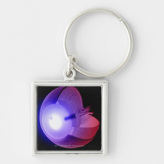 Llavero Representación de la estructura del ojo (Frente)