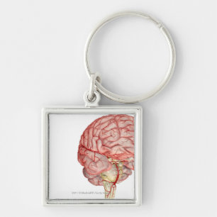 Llavero Representación de Realitic del cerebro humano