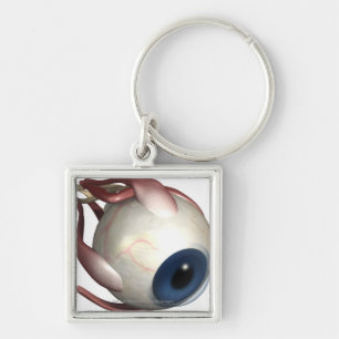 Llavero Representación realista de los músculos del ojo