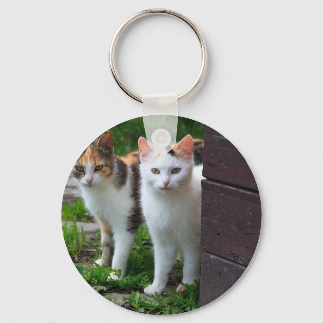 Llavero Reproducción de gatos (Anverso)