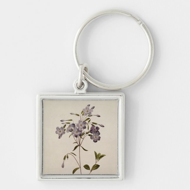 Llavero Reptans del Phlox (Frente)