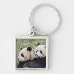 Llavero Reserva Wolong, China, Oso panda gigante abrazando