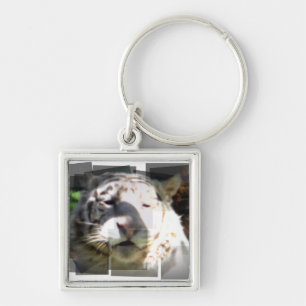 Llavero Resumen del tigre blanco