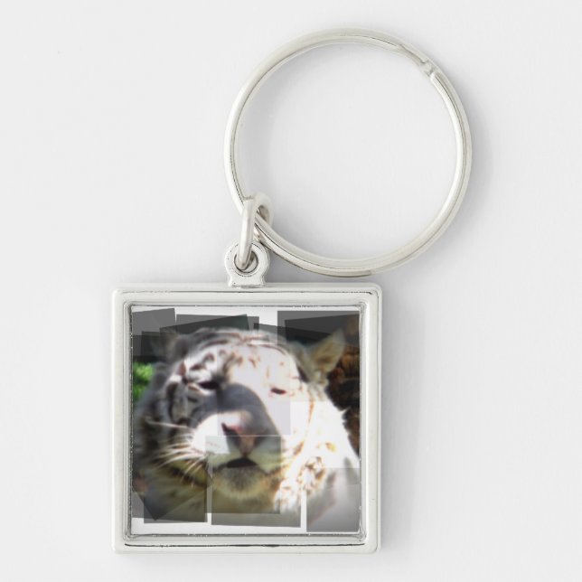 Llavero Resumen del tigre blanco (Frente)