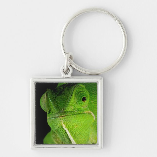 Llavero Retrato De Chameleon Con Cuello Flap (Frente)