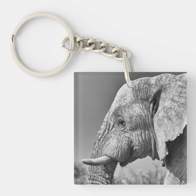 Llavero Retrato de elefante (Frente)