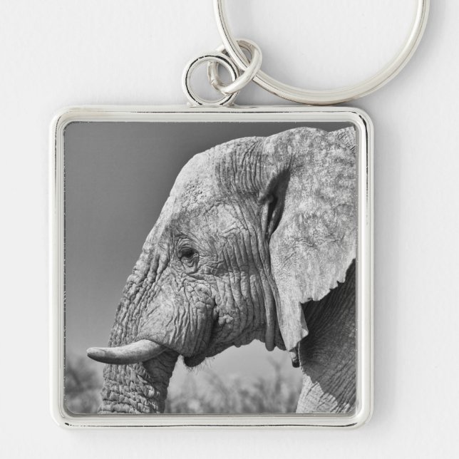 Llavero Retrato de elefante (Frente)