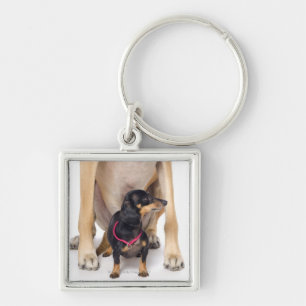 Llavero Retrato de great dane y del Dachshund
