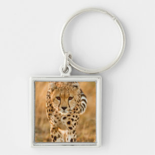Llavero Retrato de guepardo (Acinonyx Jubatus), Maasai