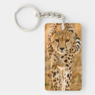 Llavero Retrato de guepardo (Acinonyx Jubatus), Maasai