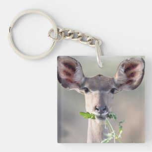 Llavero Retrato de Kudu