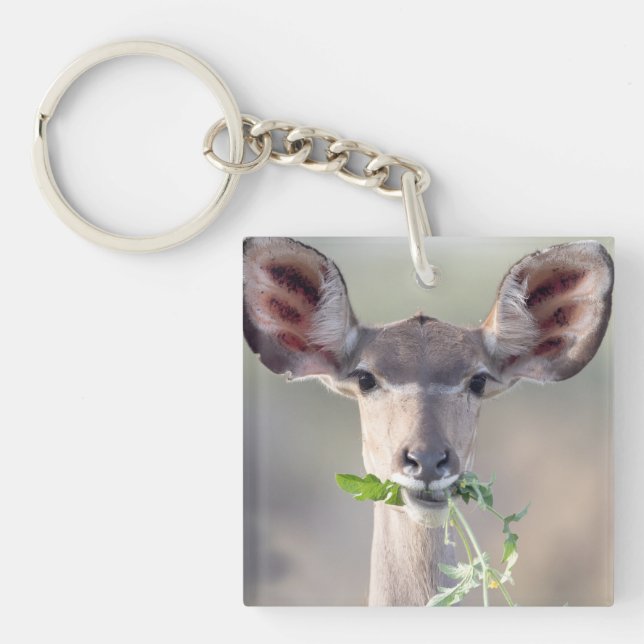 Llavero Retrato de Kudu (Frente)