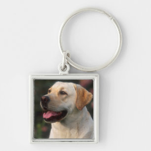 Llavero Retrato De Labrador Recuperador, Hilton