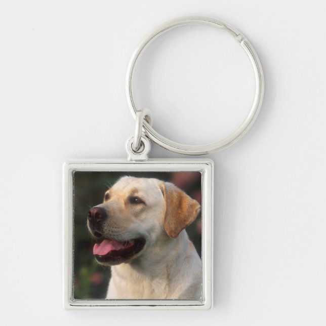 Llavero Retrato De Labrador Recuperador, Hilton (Frente)