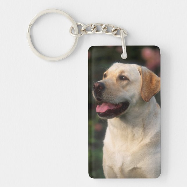 Llavero Retrato de Labrador Retriever, Hilton (Frente)