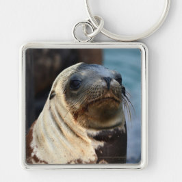 Llavero Retrato de león marino