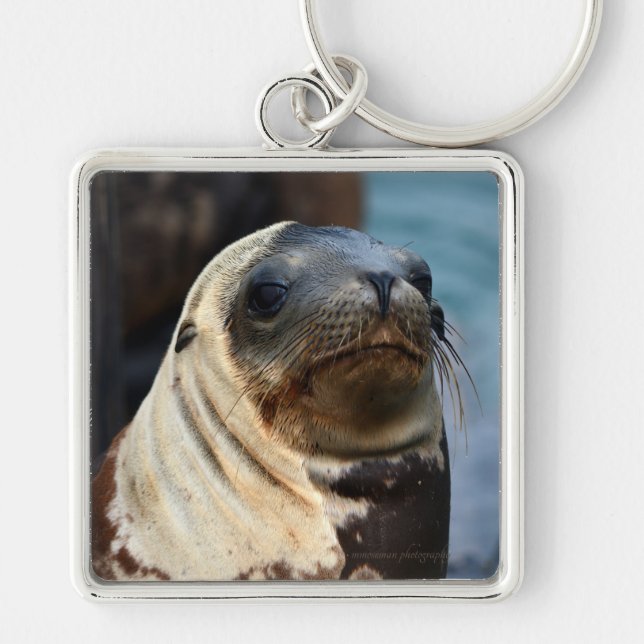 Llavero Retrato de león marino (Frente)