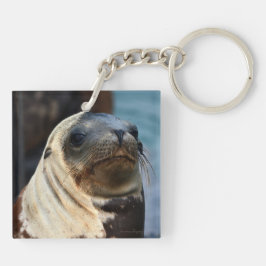 Llavero Retrato de león marino