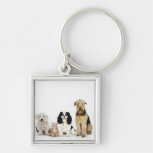 Llavero Retrato de los gatos y de los perros que se