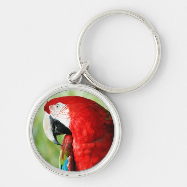 Llavero Retrato de Macaw (Frente)