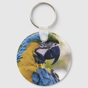 Llavero Retrato de perfil de loro de Macaw