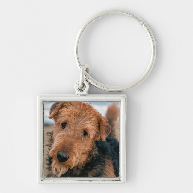 Llavero Retrato de un Airedale Terrier (Frente)